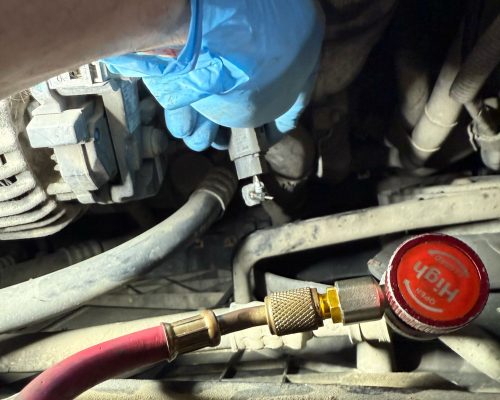 7769744a-b778-48aa-852a-23956d36f026